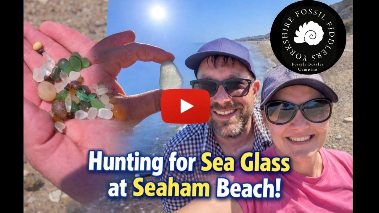 “Sea Glass Treasure Hunt with Awesome Fossil Surprises!”