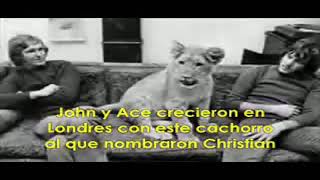 (Christian) "El León más tierno del mundo"