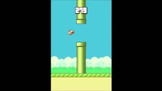 (TAS) Flappy Bird '1000 Pipes' in 26:03