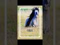 Was ist das für ein Pferd?#Pferderaten #Pferde #Reiten #Pferdefakten