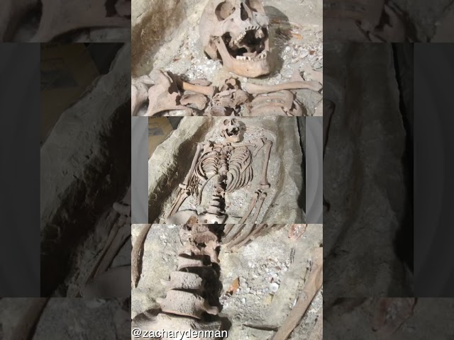 Over 2500 Giant Skeletons Were Buried In The Serpent Mounds In Ohio  #giants #giant #adena #skeleton
