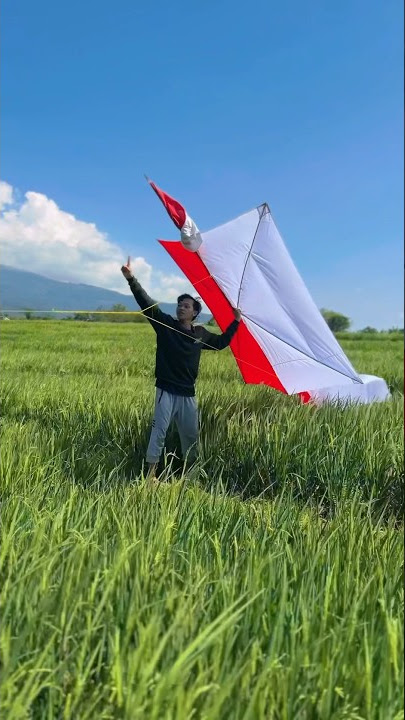 Is it kite season in your area yet?