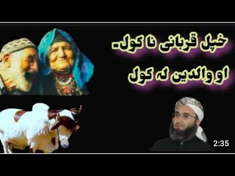 خپلہ قربانی نا کول۔۔والدین دپارہ کول/Mufti Rahim Dad Sahib Pashto Bayan/ Pashto Bayan 2021/Qurbani M