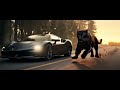 Wild Companion AI builds a world of supercars and beasts #Car movie#Road movie