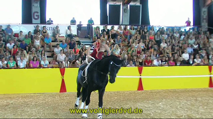 Alice Reitz - HES - DVM Alsfeld 2015 - Female - 14