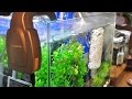 検証！夏場の水温上昇を下げろ　ぴたっとファンS　【アクアリウム】