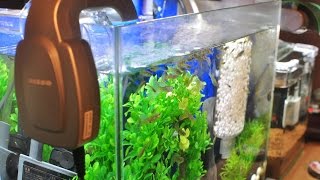検証！夏場の水温上昇を下げろ　ぴたっとファンS　【アクアリウム】