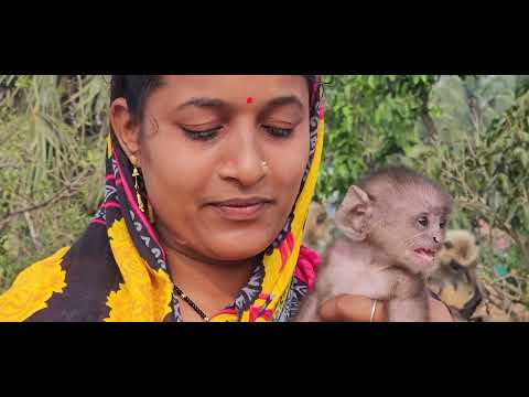 #song #monalisabhadra #lifeisbutadream #monkey #funny #sarbebhabantusukhinah