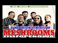 Best of them mushrooms full mix by dj raj rhumba and zilizopendwa zile za kale