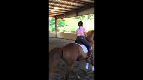 Heather Bender schooling Gillie