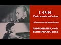 Grieg Sonata in C minor violin &amp; piano. Gertler-Farnadi I. Allegro molto ed appassionato.