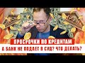 Просрочки, а банк не подаёт в суд?! Как погасить кредит Должник прав Банкротство физических лиц 2020