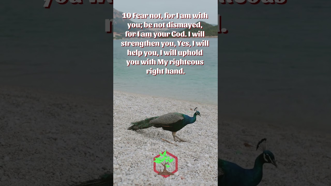 Isaiah 41:10-11 ◽ Origenes88