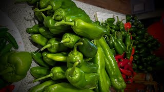 Motivational Monday at the Circus! Garden Harvest Edition #motivationalmonday