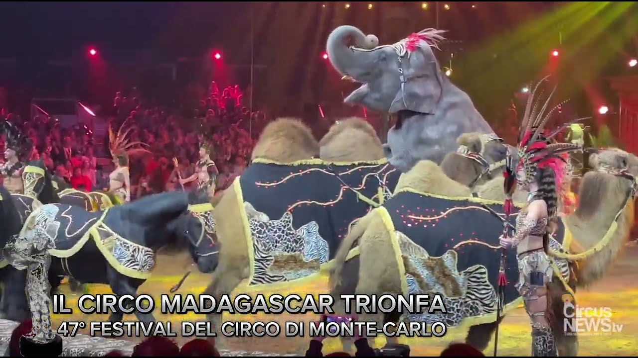 Il Circo Madagascar trionfa a Monte-Carlo con il Clown d'Argento! (47°Festival du Cirque) 2025