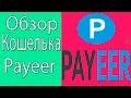 Интернет Кошелек Payeer Обзор/Вывести Деньги С Пайер
