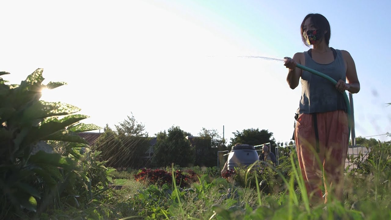 This is Chicago's first Japanese heritage farm! | All Good