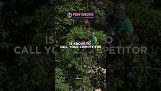 The Local Content Strategy Most Tree Services Ignore