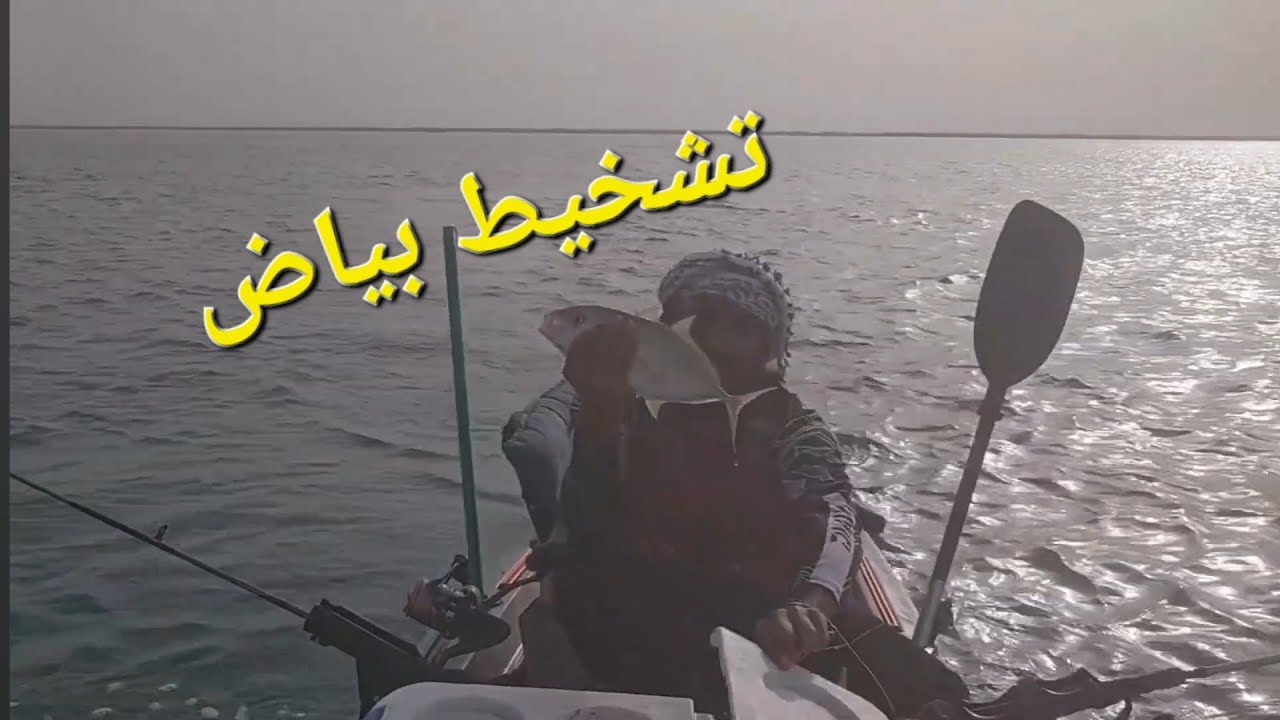 صيد البياض بالتشخيط