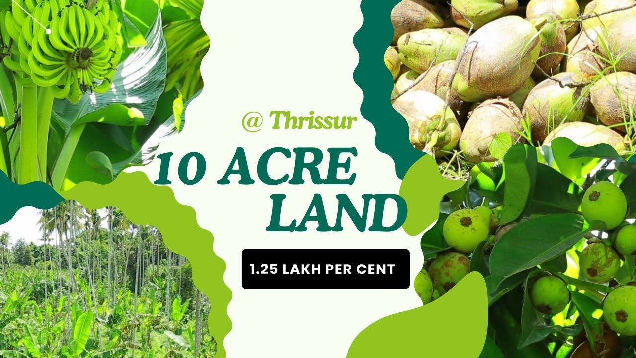 10 Acre plot for sale - Thrissur | 200m waterfrontage 