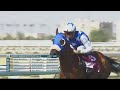 RM 17  Al Uqda Race3 Al Uqda Local Thoroughbred Trophy