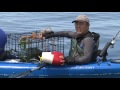 WFDW patrols Puget Sound for illegal crabbing
