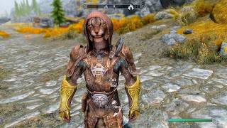 I Followed the Thief After He Robbed Me | Skyrim Anniversary Edition