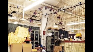 Model Predictive Control for Trajectory Tracking on Differentiable Manifolds