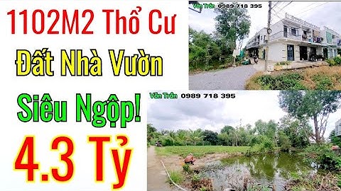 Văn Trần | Nhà Đất Bình Chánh Bán | 1102M2 Đất Thổ Cư Gần Chợ Bình Chánh Ngộp Chỉ 4.3Tỷ #3