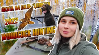 Охота на вальдшнепа с дратхааром 2022, девушка охотник / Woodcock hunting, girl hunter