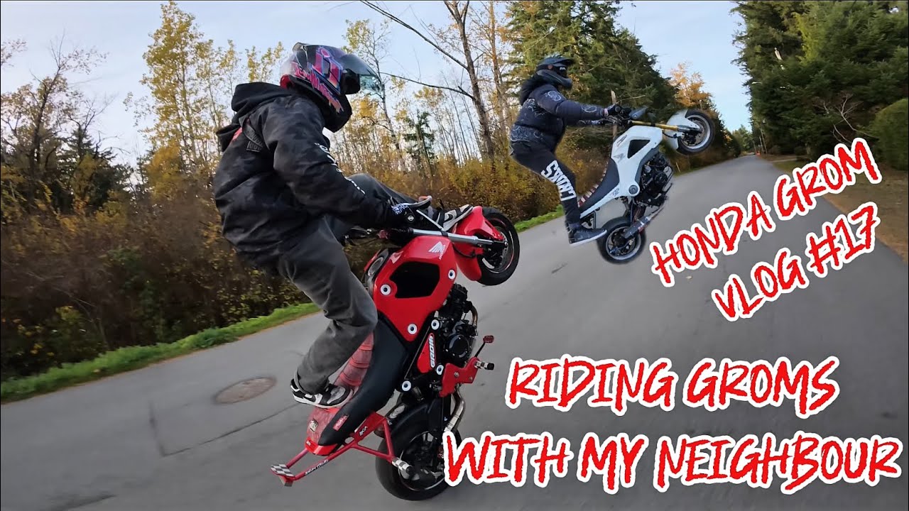 Он только что получил клетку… Теперь я научу его комбо Grom! 🔥 | Honda Grom Vlog #17