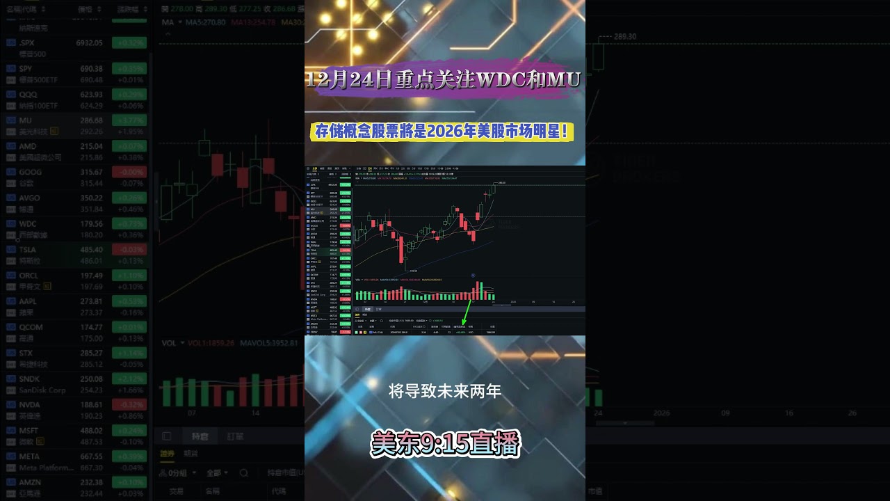 存储概念股票将是2026年美股市场明星！  