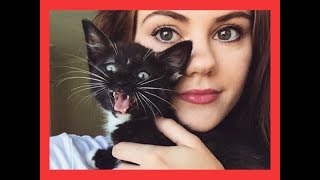 My CAT sent me to the ER!