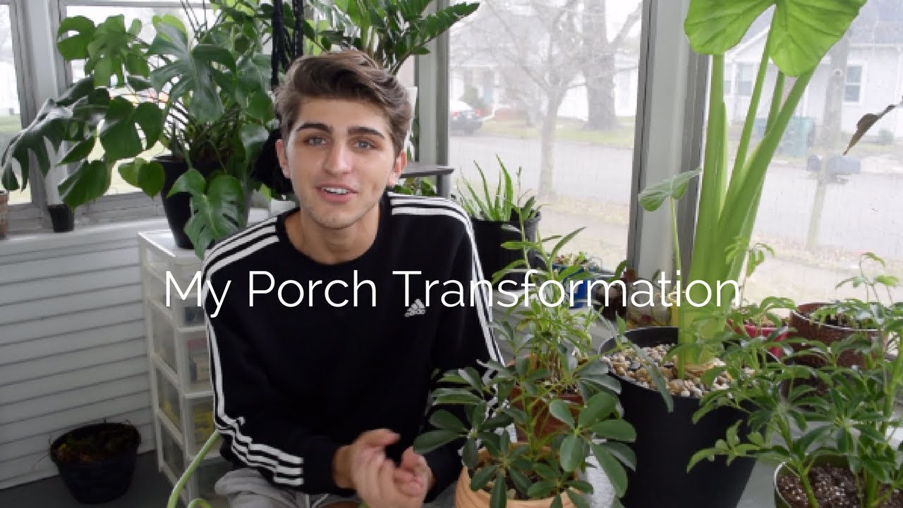 Transforming My Porch Into a Greenhouse