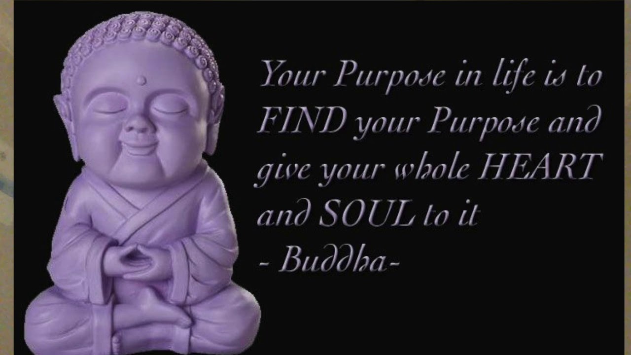 Purpose of life is