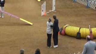 2010 AKC National Agility Championship Winning Run 4' preferred