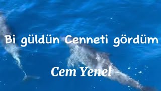 Cem Yenel - Bi güldün Cenneti gördüm