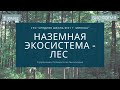 Биология, 6 класс: Наземная экосистема