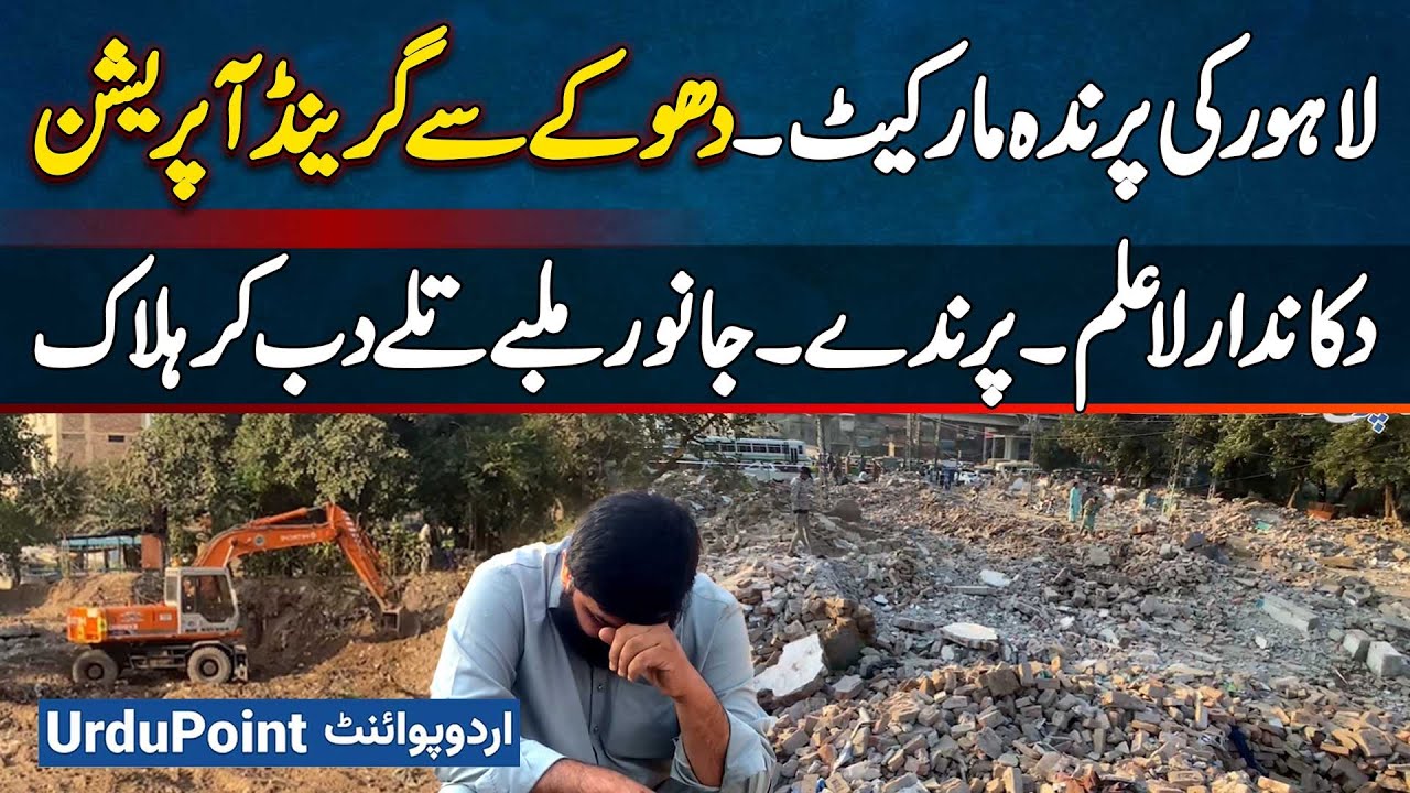 Grand Encroachment Operation in Birds Market Lahore - Birds, Animals Killed Under Debris