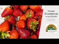 Growing strawberries in your garden