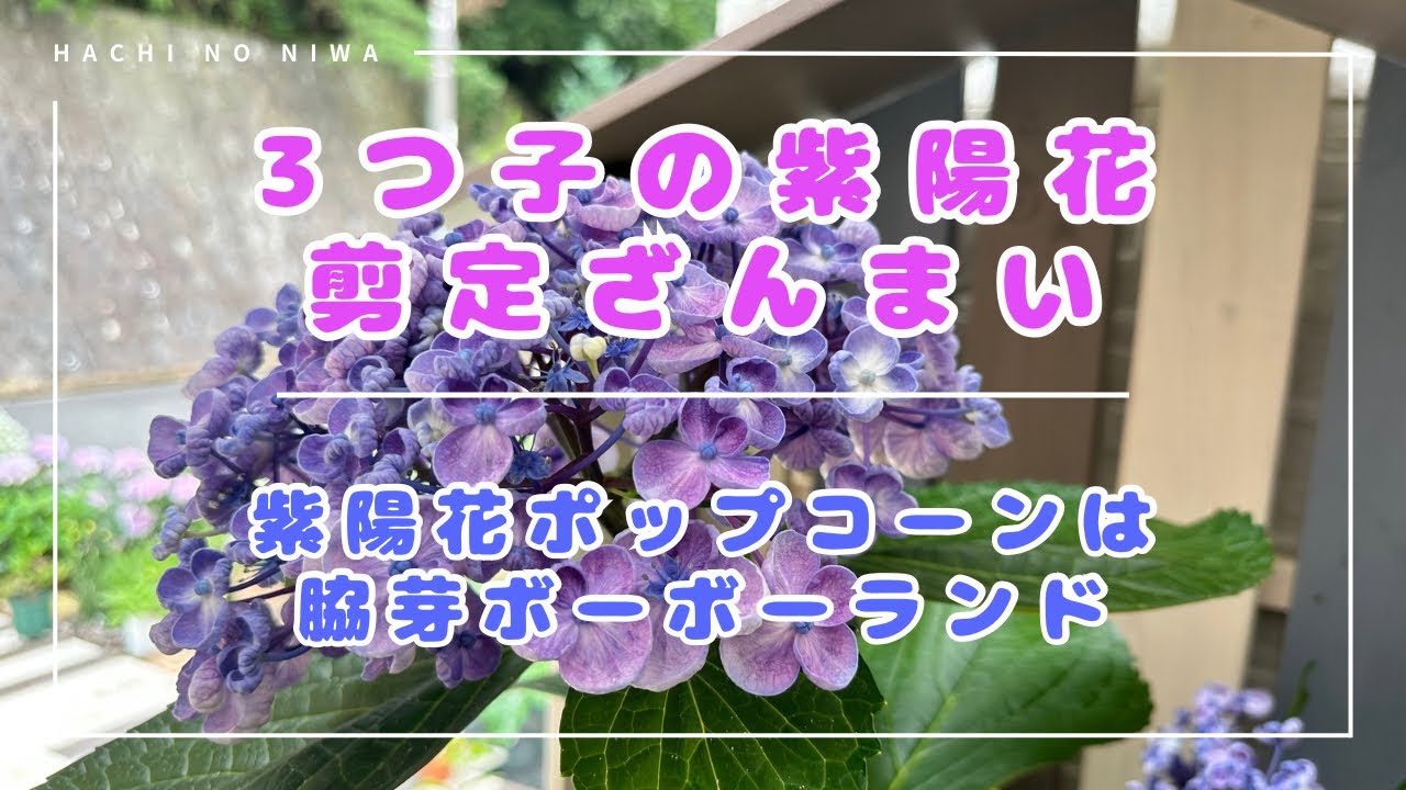 hq720.jpg?sqp=-