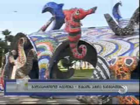 \"დაიცავი რვაფეხა\" - შაბათს აქცია გაიმართება