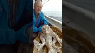 Top 10 Hybrid Animals That Shouldnt Exist