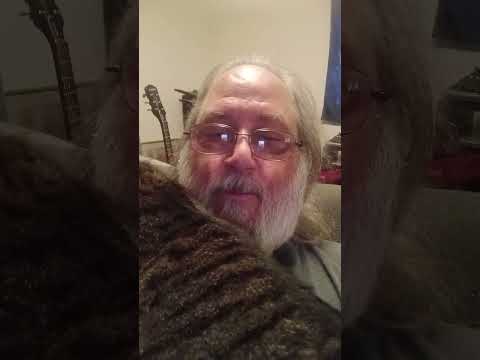 Rascal E. Kitty - Shoulder Cat Time