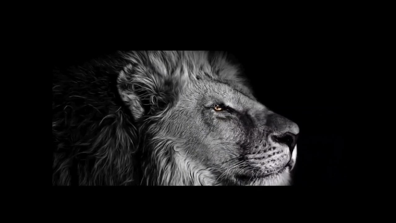 Ich kehre jetzt zurück, um deinen Zustand umzukehren (שׁוּבָ֣ה)