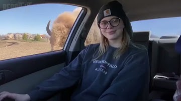 Random videos found on the internet Part 4 || Reddit Lit