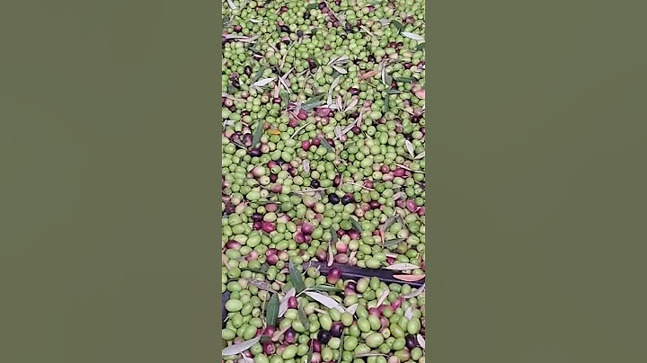 مباشره من سوق الزيتون قلعه السراغنه مع الاثمنه