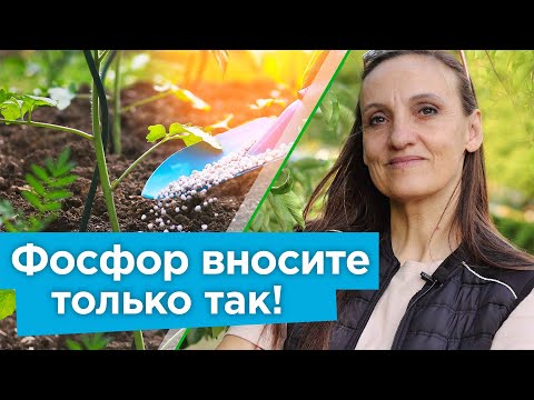 Видео: Какие бывают формы фосфора?