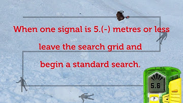 Avalanche search and rescue, micro-strip search