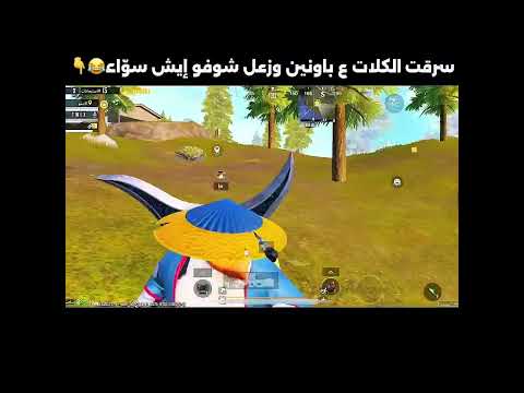 سرقت الكلات ع باونين وزعل شوفوا ايش سوى